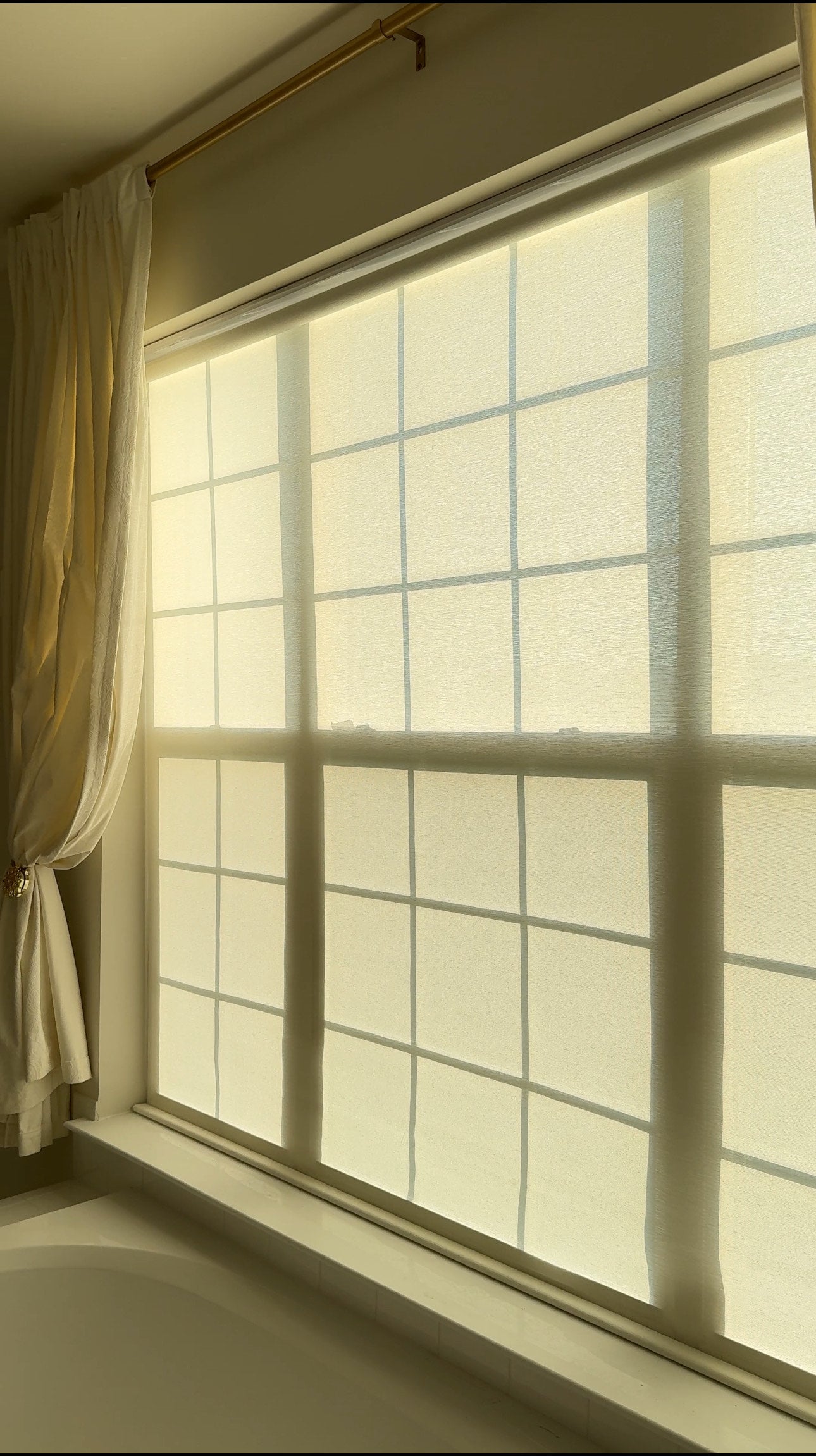 Transparent Roller Shades: Stylish & Functional Benefits - LushCurtain