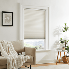 Modern living room featuring dual-core cellular shades in a window, offering soundproofing and heat insulation.